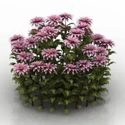 Two Tree Plant Set 3d model