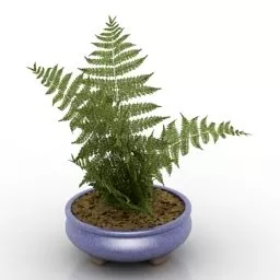 Realistic Leaf Plant Vase Pot Decorative 3d model