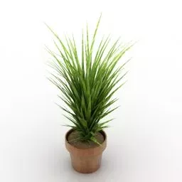 Grass Potted Plant 3d model