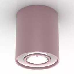 Brass Frame Ceiling Lamp 3d model
