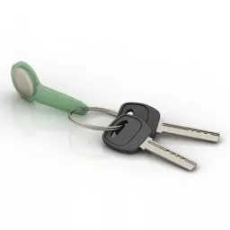 Door Keys 3d model