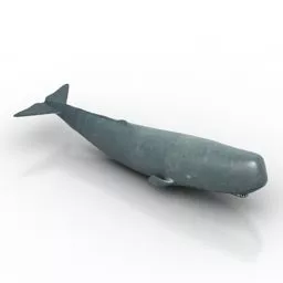 Whale Animal Lowpoly 3d model