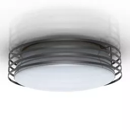 Circle Lamp Ceiling Mount With Steel Case 3d model