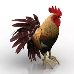 Rooster Chicken Free 3d Model - .3ds, .Gsm - Open3dModel