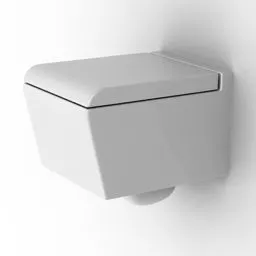 Cantilever Toilet 3d model