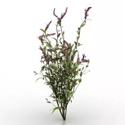 Flower Plant Grass Bush 3d model