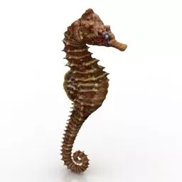 Seahorse Low Poly Sea Animal 3d model