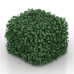 Cubic Hedges 3d model