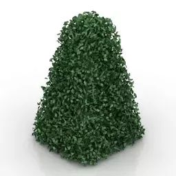 Pyramid Hedges 3d model