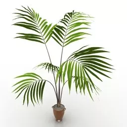 Palm Potted 3d model