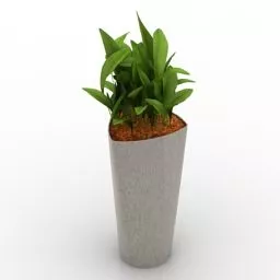 Minimalist Potted Plant 3d model