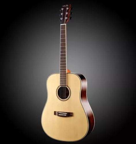Common Acoustic Guitar 3d model