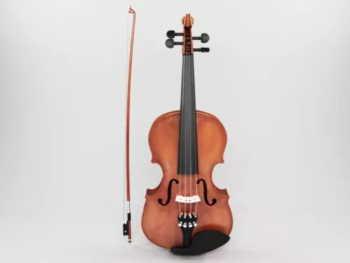 Violin Instrument With Accessories 3d model