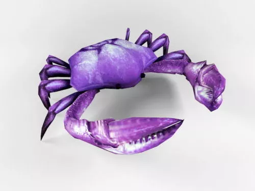Sea Crab Rigged 3d model Sea Crab Rigged 3d model