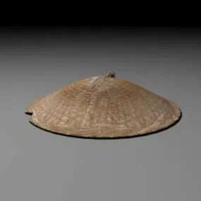 Bamboo Hat 3d model
