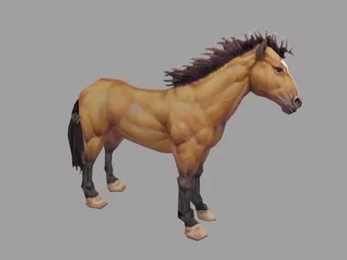 Wild Brown Horse 3d model Wild Brown Horse 3d model