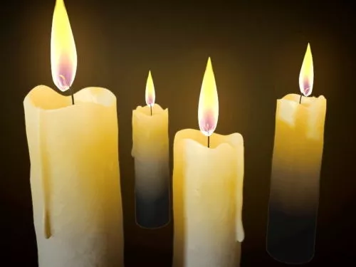 Flower Candle 3d model