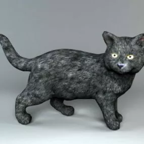 Black Wild Cat 3d model