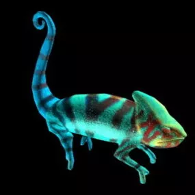 Chameleon Animal V1 3d model