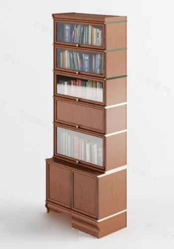 Bookcase Koru With Mirror Front 3d model