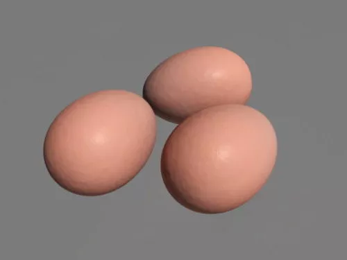 Chicken Eggs V1 3d model Chicken Eggs V1 3d model