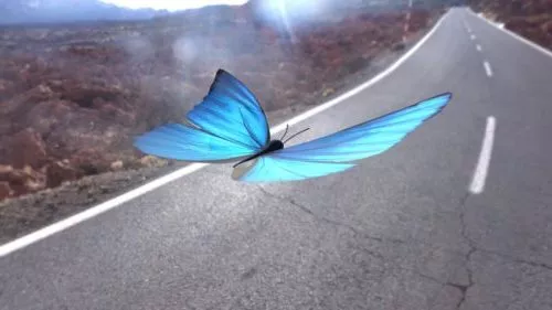 Blue Butterfly V1 3d model