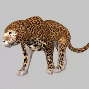 Wild Cheetah Animal 3d model