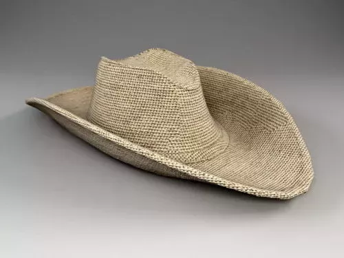 Pilot Hat With Man Head 3d model
