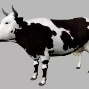 Dairy Cattle Bull 3d model