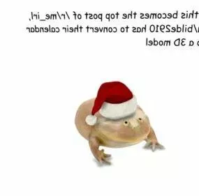 Santa Frog 3d model