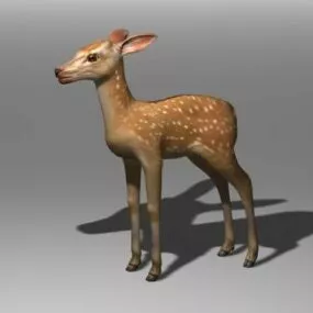 Wild Deer Fawn Animal 3d model