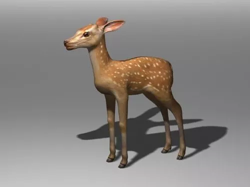 Mule Deer Head Decoration 3d model