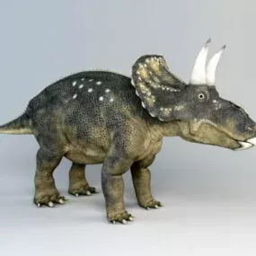 Diceratops Dinosaur Animal 3d model