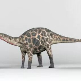 Dicraeosauridae Dinosaur Animal 3d model