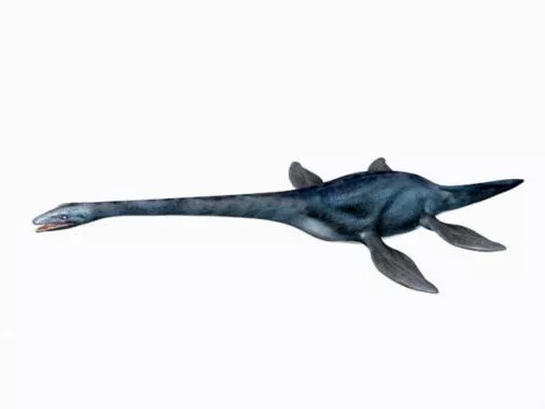 Animated Brontosaurus Dinosaur 3d model