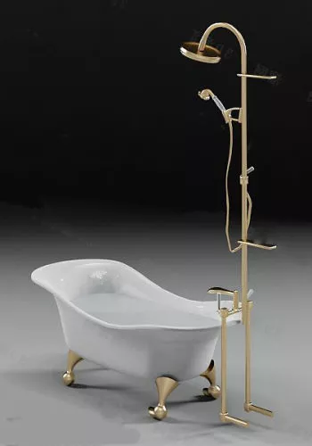 Ancient Bathtub 3d model
