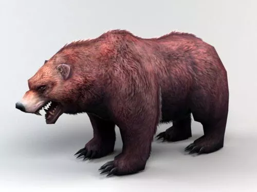 Russian Brown Bear 3d model Russian Brown Bear 3d model