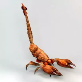 Wild Scorpion 3d model
