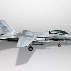 Grumman Aircraft F-14 Tomcat Fighter 3d model