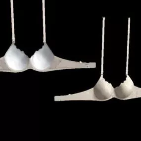 Lady Lace Bra 3d model