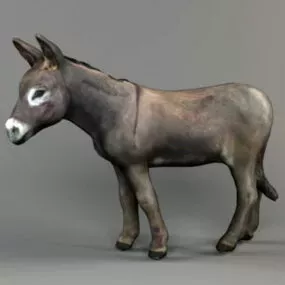 Donkey 3D Models for Free Download - Open3dModel