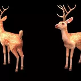 Deer 3d model