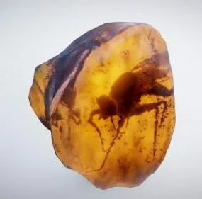 Fossil Mosquito In Amber 3d model