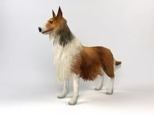 Husky Dog Rigged 3d model