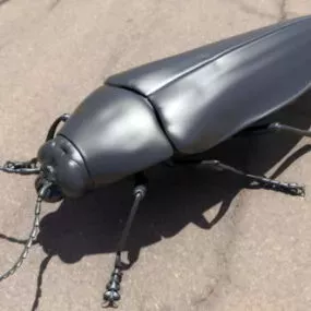 Niger Beetle 3d model