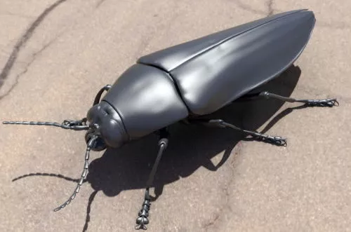 Niger Beetle 3d model Niger Beetle 3d model