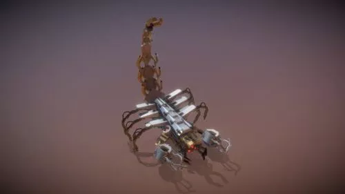 African Scorpion 3d model African Scorpion 3d model