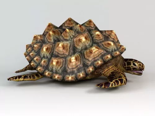Tortoise Chinese Statue 3d model