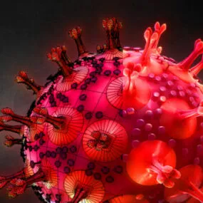 Realistic Corona Covid-19 Virus 3d model