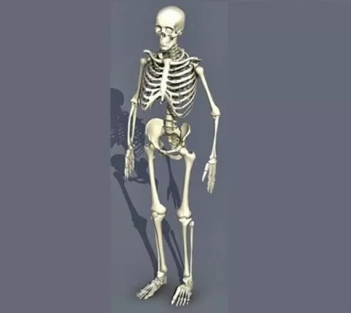Modern Hospital Bed 3d model